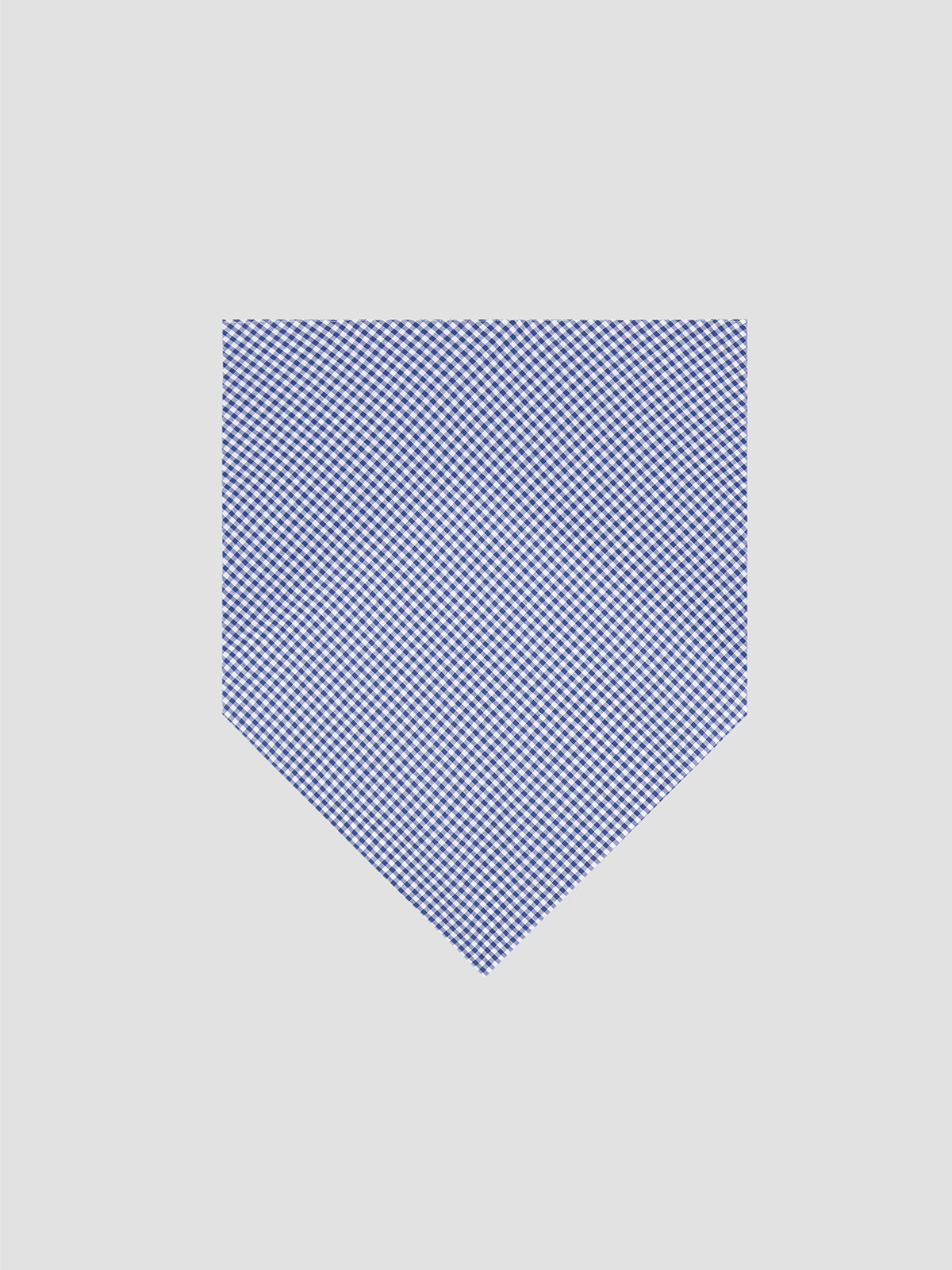 Bandana Check Blue