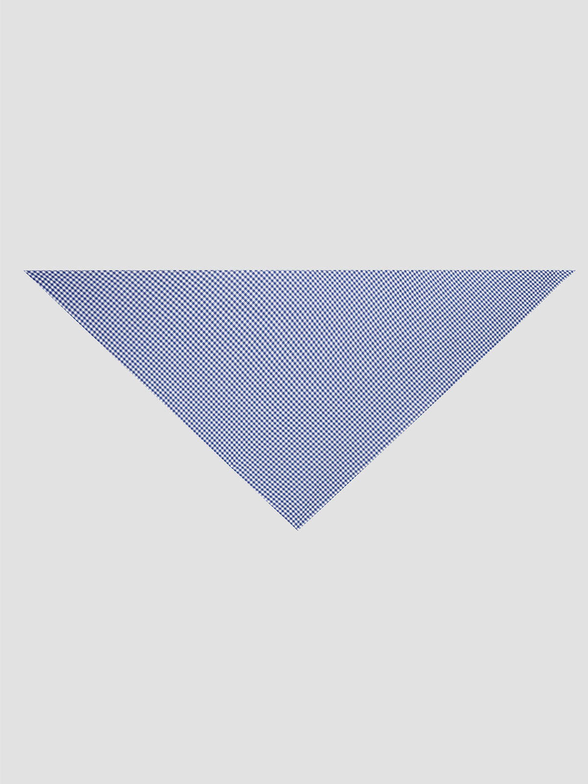 Bandana Check Blue