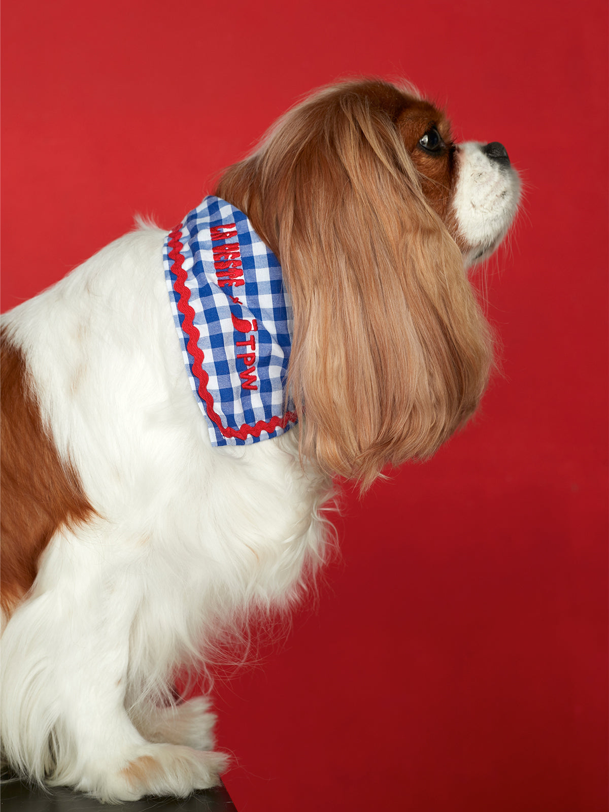 Dog Bandana 02 TPW X LA VESTE