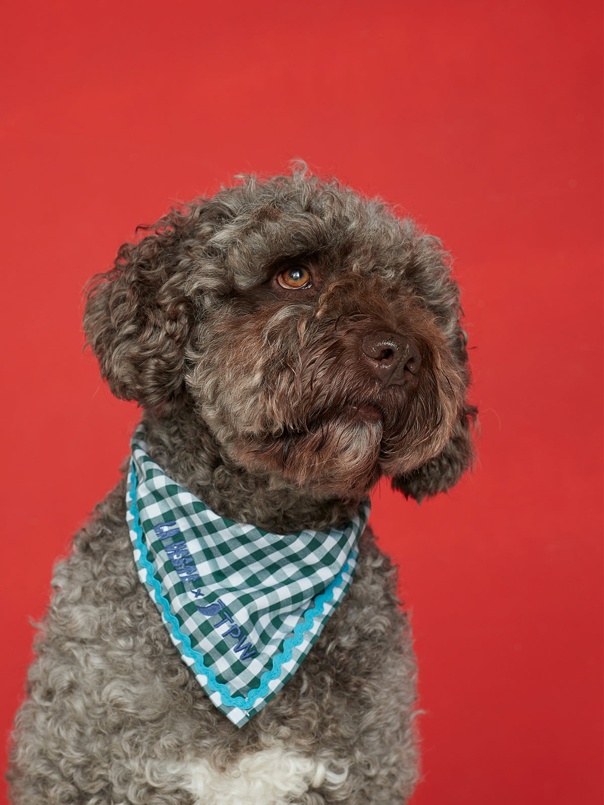 Dog Bandana 01 TPW X LA VESTE