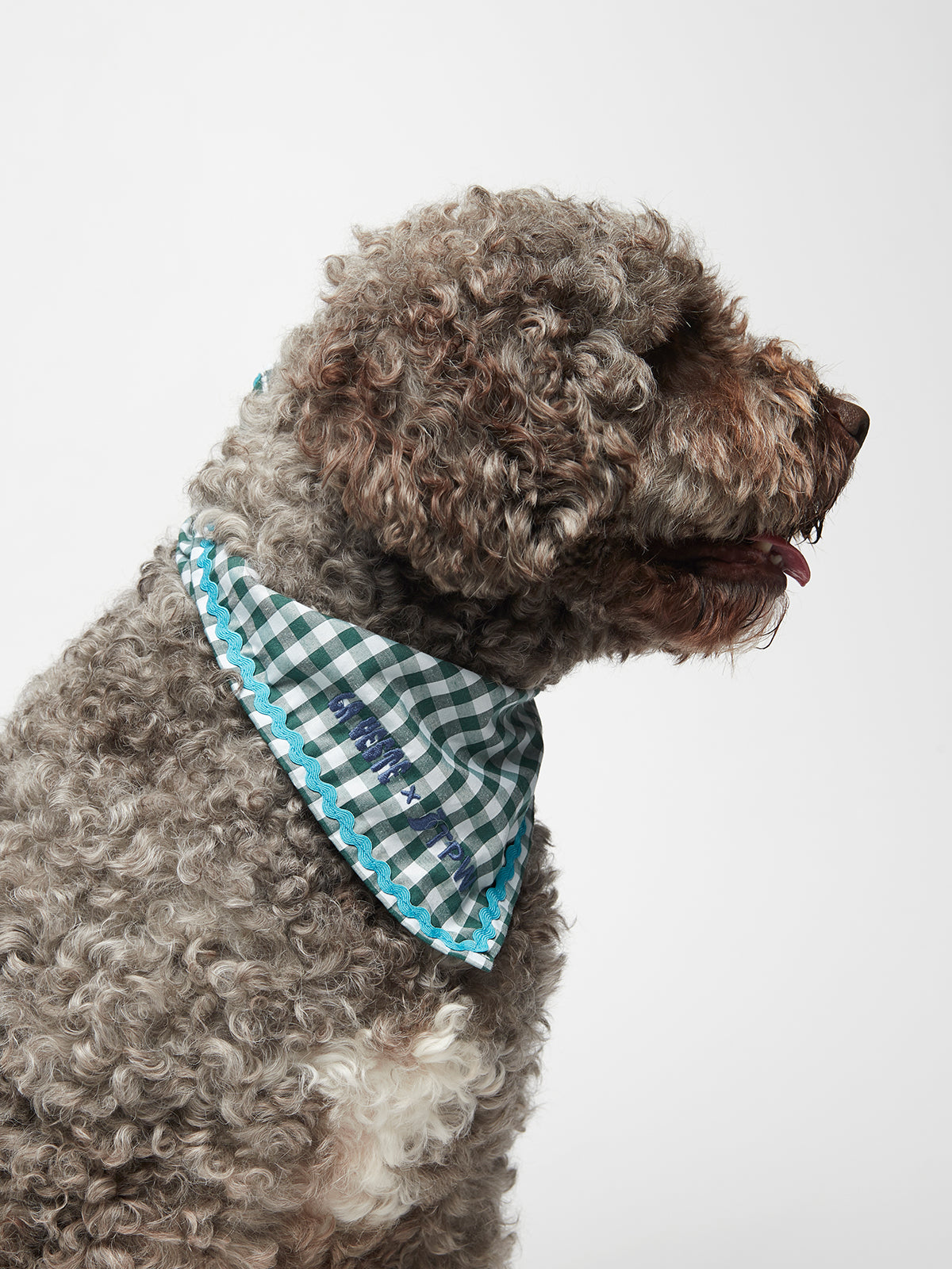 Dog Bandana 01 TPW X LA VESTE