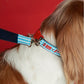 Leash 02 TPW X LA VESTE