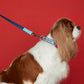 Leash 02 TPW X LA VESTE
